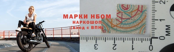 стафф Заволжье