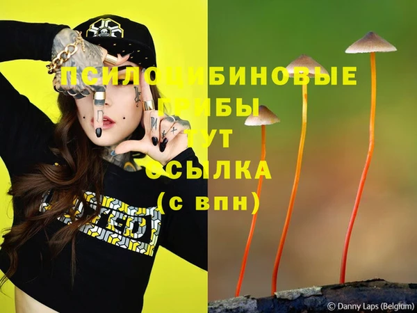 таблы Зерноград