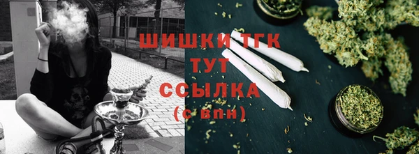 прущий лед Заводоуковск