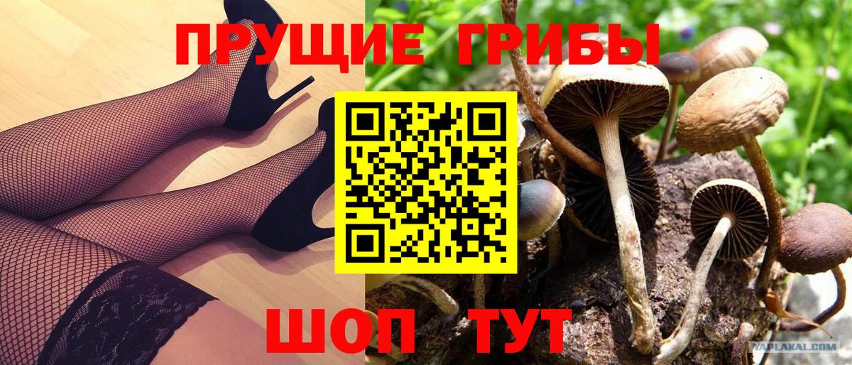 Псилоцибиновые грибы Magic Shrooms Камень-на-Оби