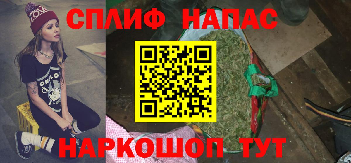 Конопля гибрид  Камень-на-Оби  Канабис индика  Бошки марихуана MAZAR  Бошки Шишки планчик 